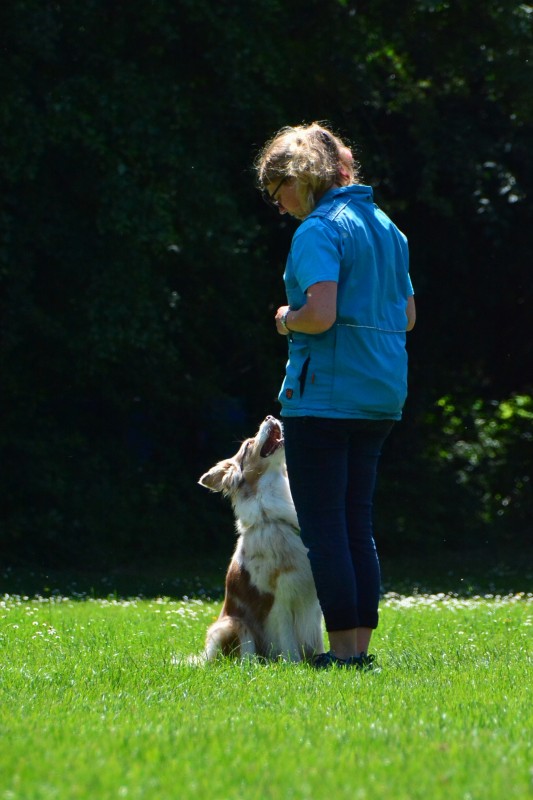 2022-05-22 Rally Obedience Turnier 032