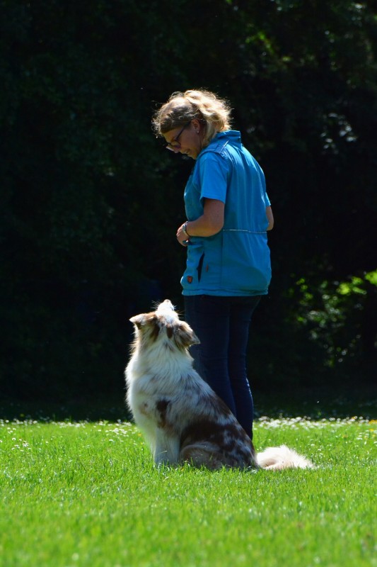 2022-05-22 Rally Obedience Turnier 033