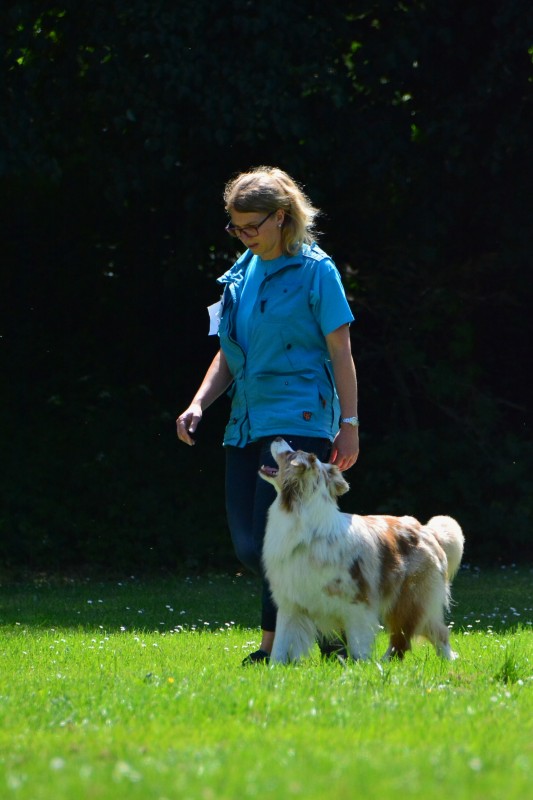 2022-05-22 Rally Obedience Turnier 034
