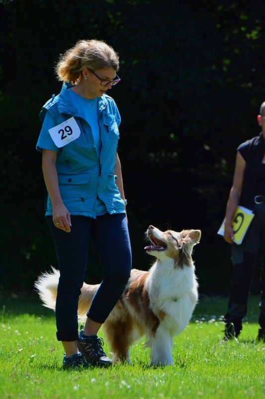 2022-05-22 Rally Obedience Turnier 037