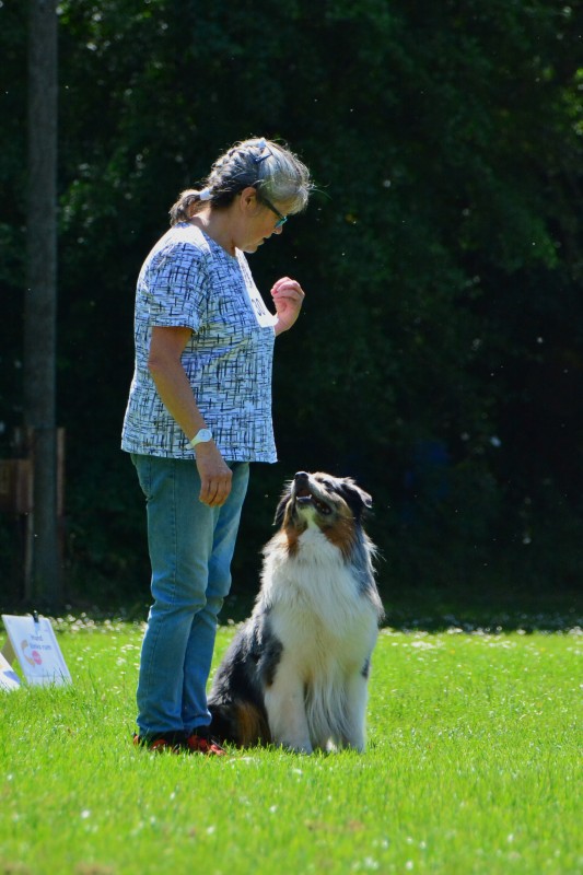 2022-05-22 Rally Obedience Turnier 043