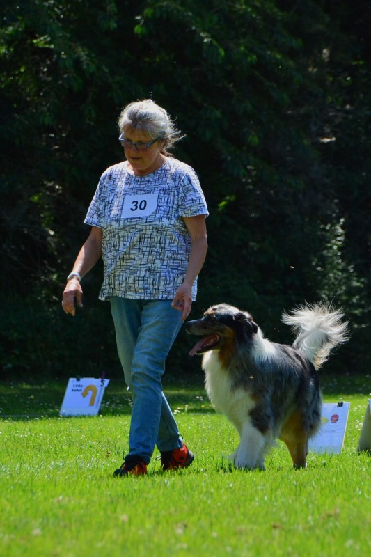 2022-05-22 Rally Obedience Turnier 045