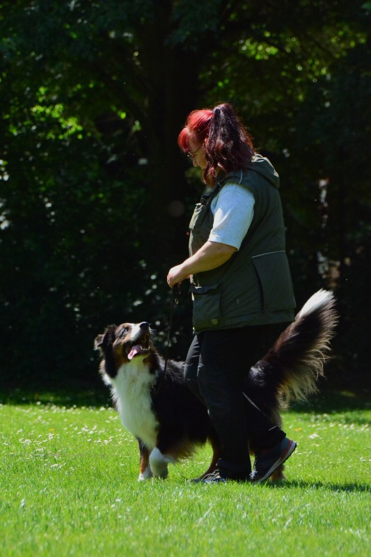 2022-05-22 Rally Obedience Turnier 046
