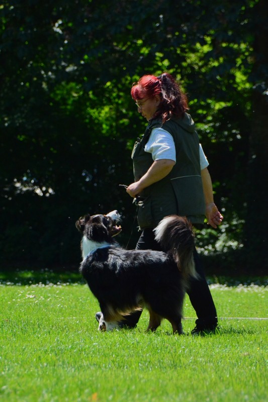 2022-05-22 Rally Obedience Turnier 047