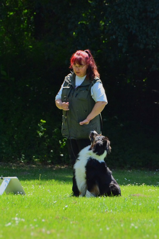 2022-05-22 Rally Obedience Turnier 049