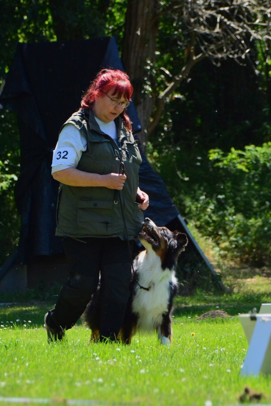 2022-05-22 Rally Obedience Turnier 050