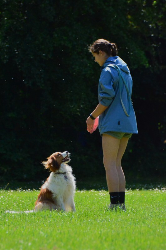 2022-05-22 Rally Obedience Turnier 053