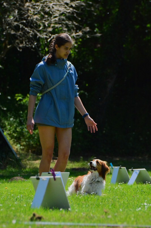 2022-05-22 Rally Obedience Turnier 054