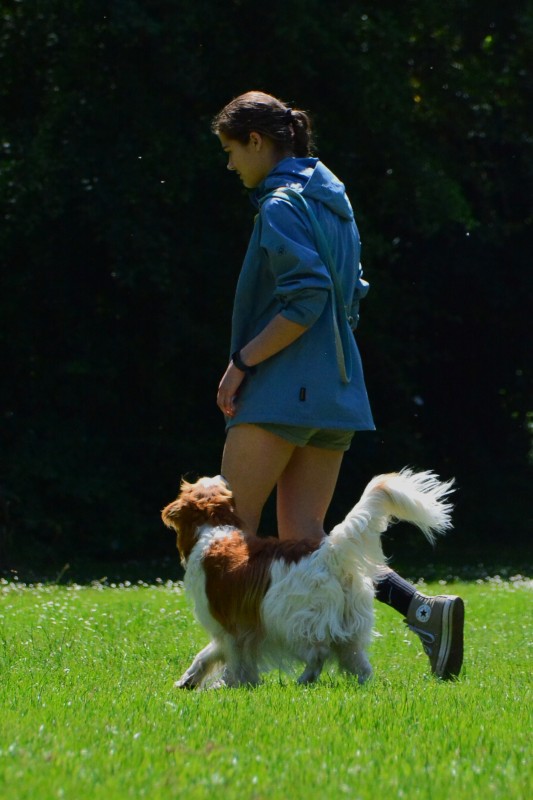 2022-05-22 Rally Obedience Turnier 057