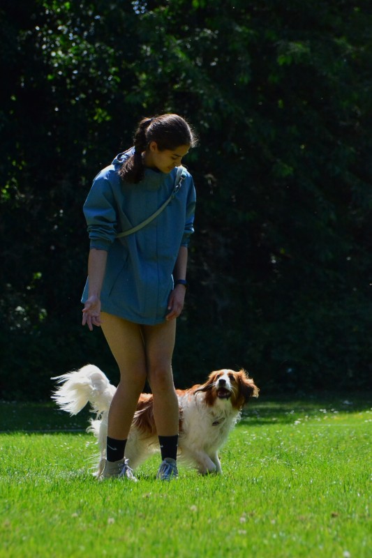 2022-05-22 Rally Obedience Turnier 058