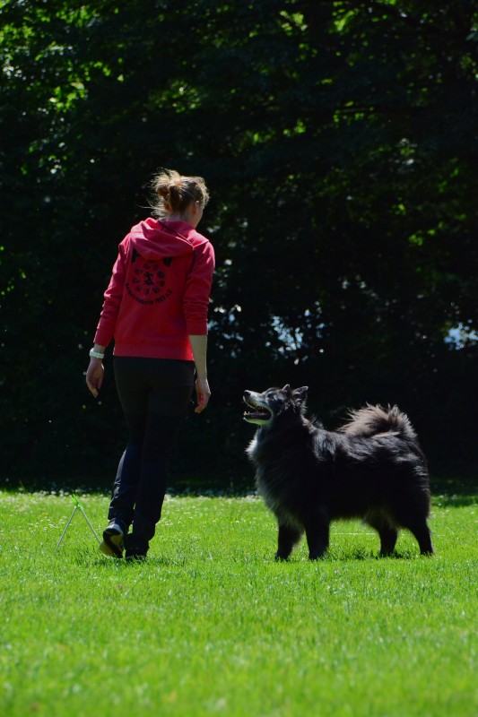 2022-05-22 Rally Obedience Turnier 060