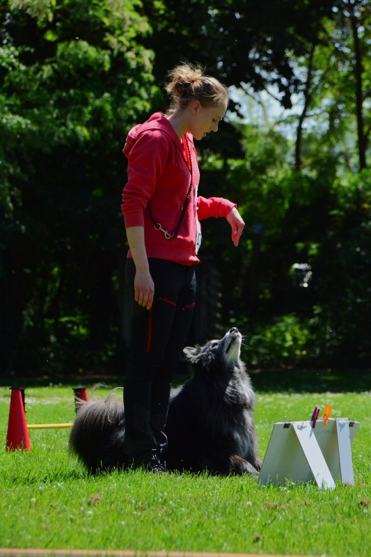 2022-05-22 Rally Obedience Turnier 064