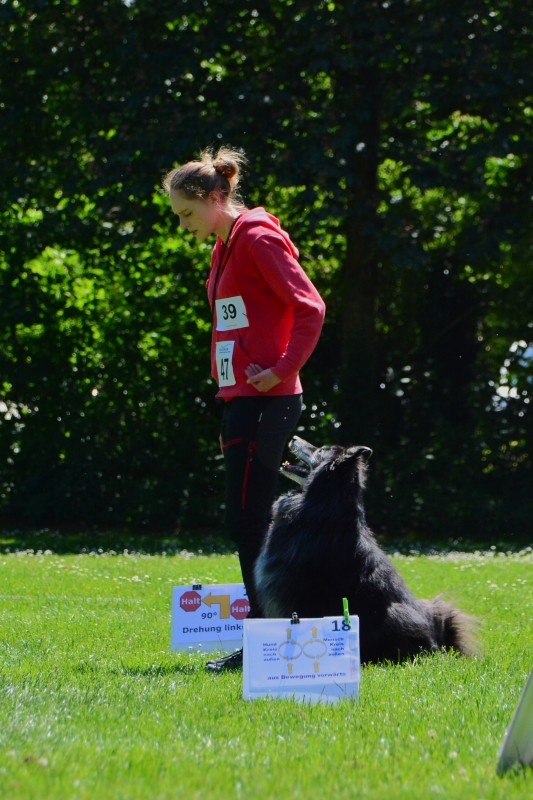 2022-05-22 Rally Obedience Turnier 065