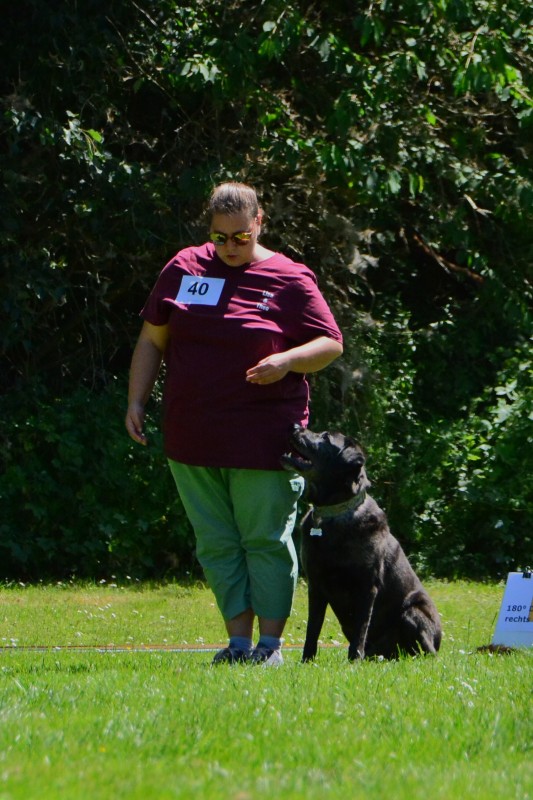 2022-05-22 Rally Obedience Turnier 068