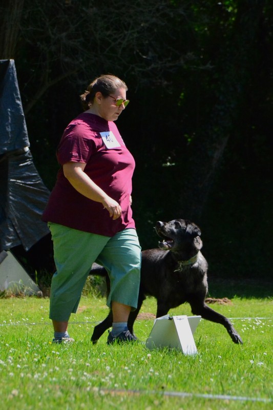 2022-05-22 Rally Obedience Turnier 069