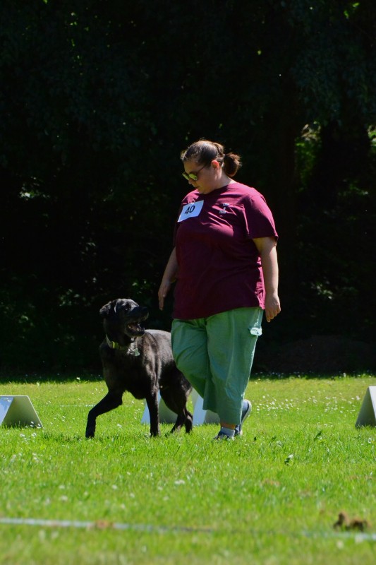 2022-05-22 Rally Obedience Turnier 071