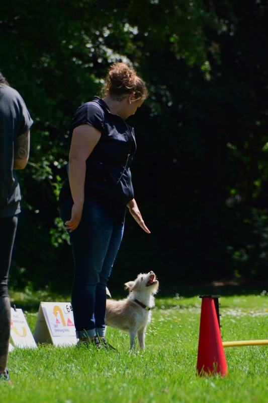2022-05-22 Rally Obedience Turnier 073