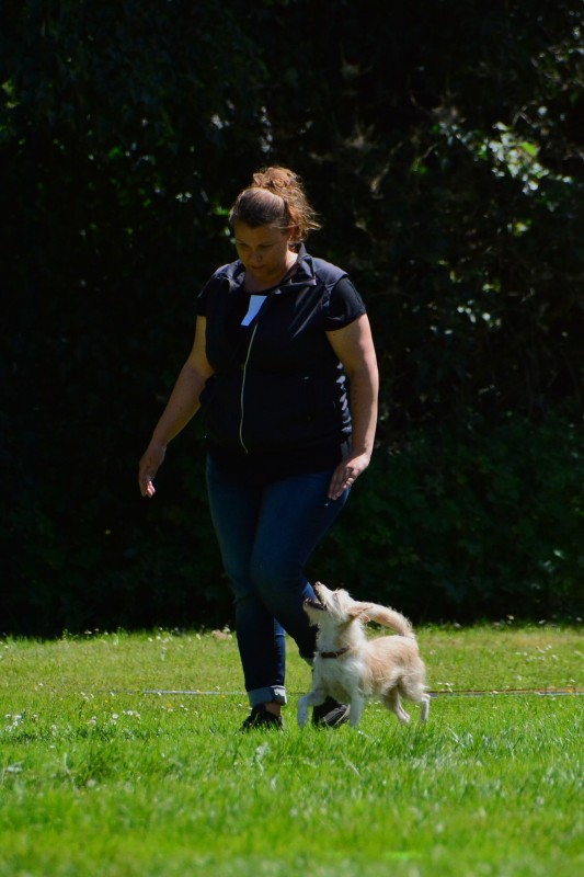 2022-05-22 Rally Obedience Turnier 074