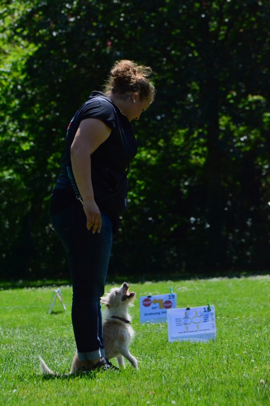 2022-05-22 Rally Obedience Turnier 075