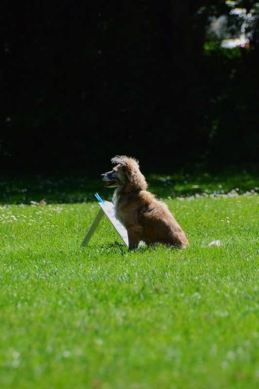 2022-05-22 Rally Obedience Turnier 078