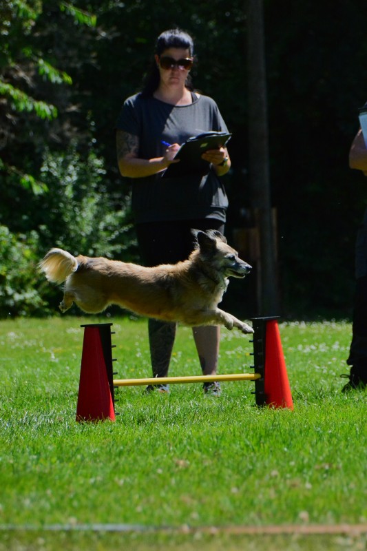 2022-05-22 Rally Obedience Turnier 082