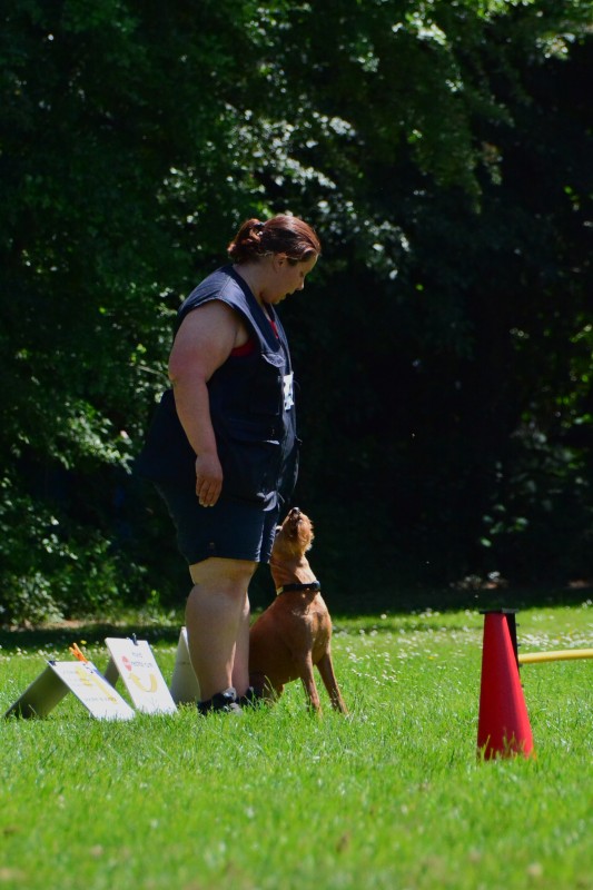2022-05-22 Rally Obedience Turnier 085