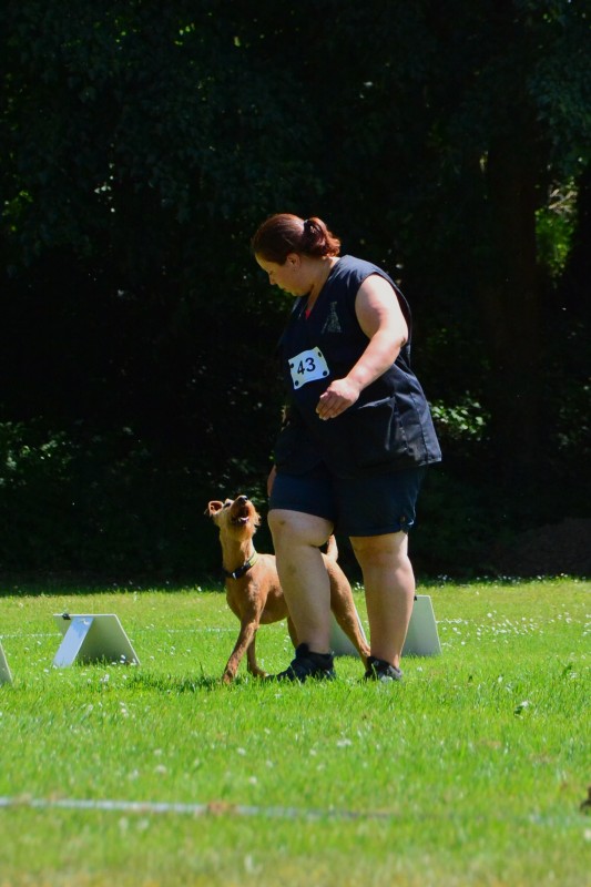 2022-05-22 Rally Obedience Turnier 087