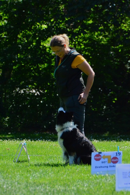 2022-05-22 Rally Obedience Turnier 088