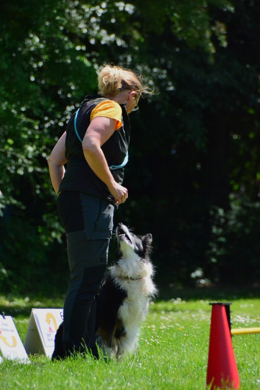 2022-05-22 Rally Obedience Turnier 090