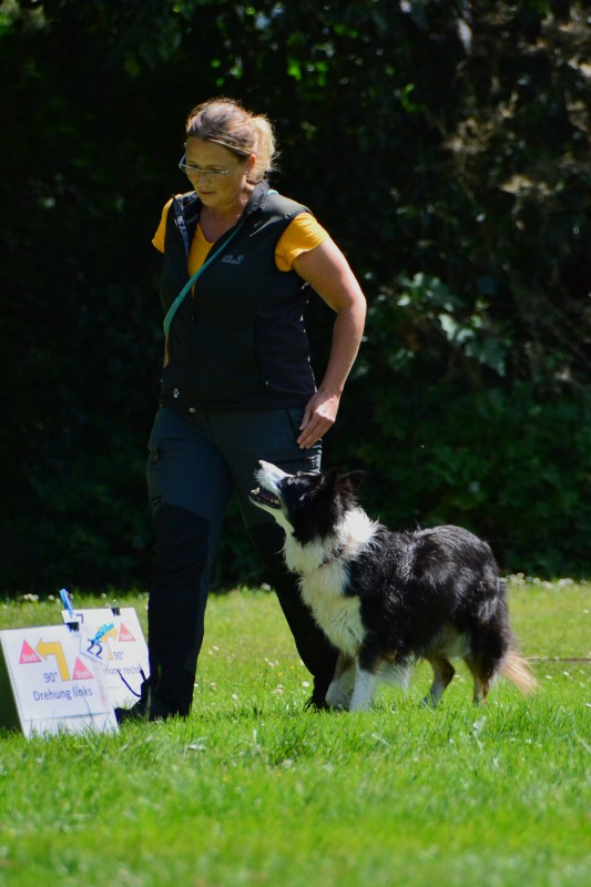2022-05-22 Rally Obedience Turnier 092
