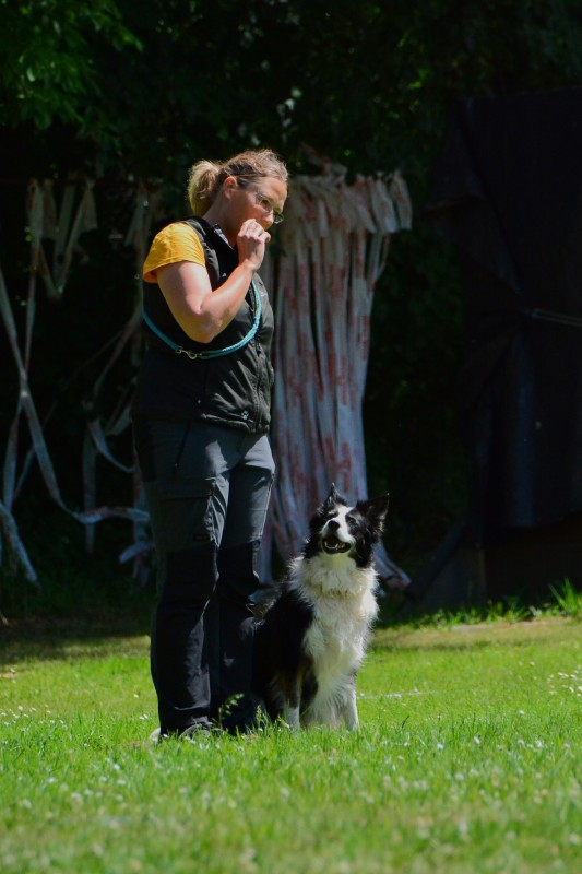 2022-05-22 Rally Obedience Turnier 094