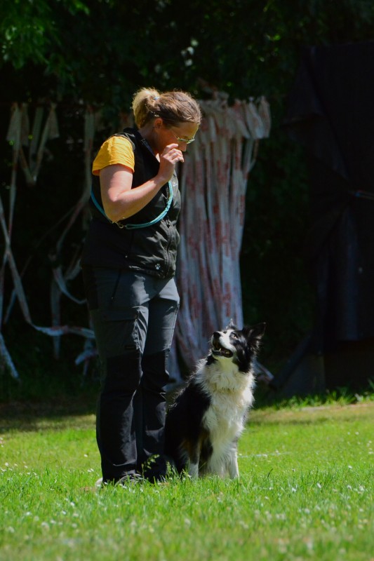 2022-05-22 Rally Obedience Turnier 095