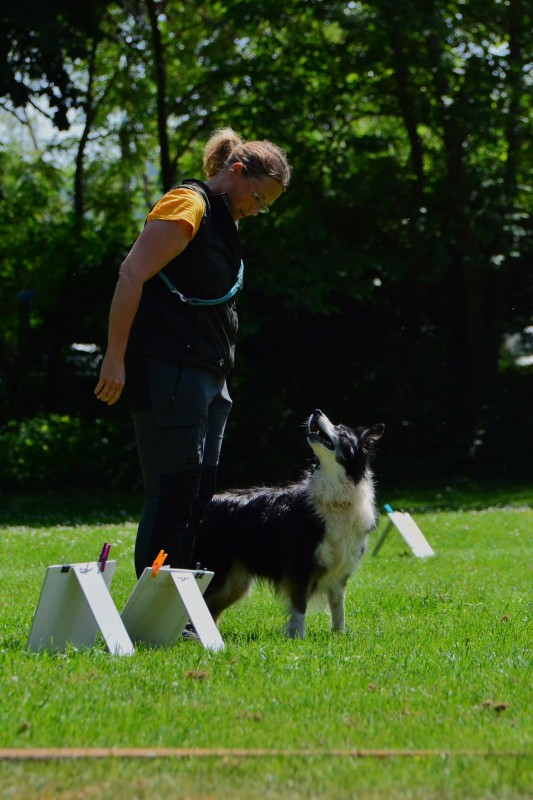 2022-05-22 Rally Obedience Turnier 097