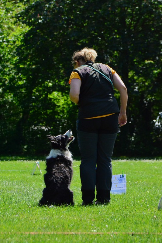 2022-05-22 Rally Obedience Turnier 098