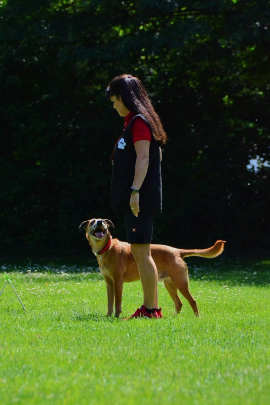 2022-05-22 Rally Obedience Turnier 100