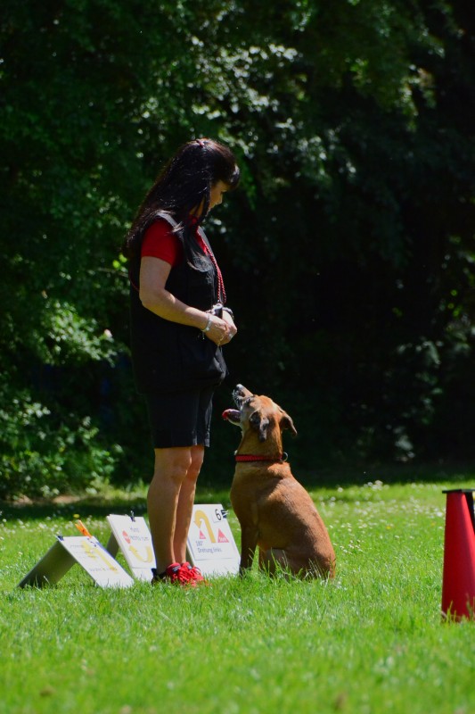 2022-05-22 Rally Obedience Turnier 102