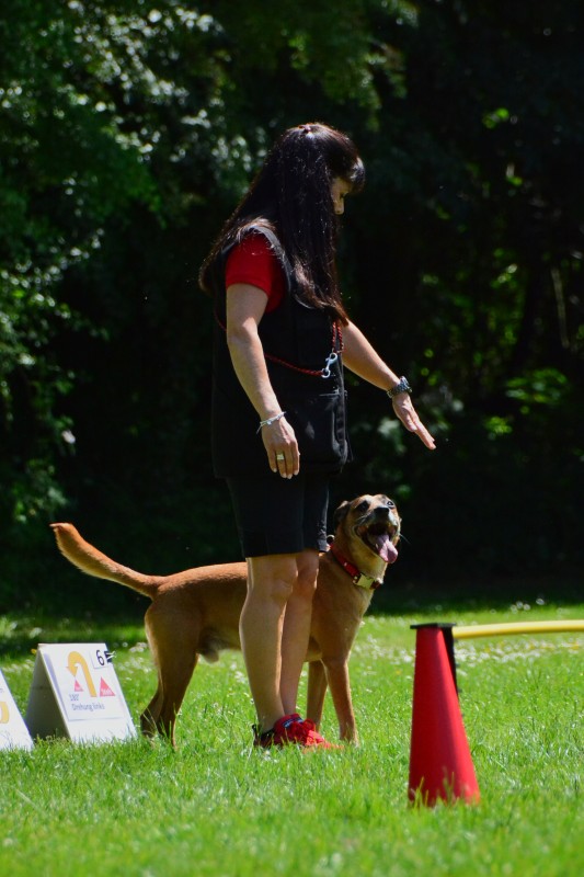 2022-05-22 Rally Obedience Turnier 103