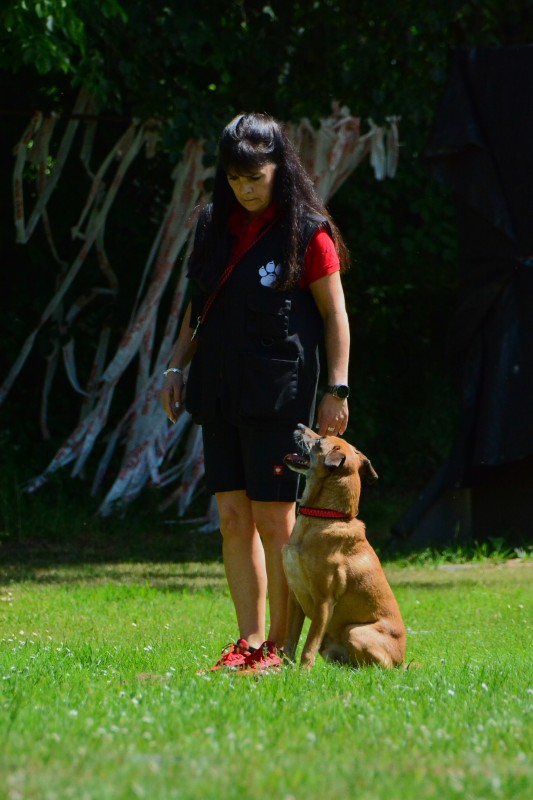 2022-05-22 Rally Obedience Turnier 104