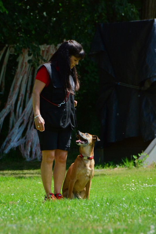 2022-05-22 Rally Obedience Turnier 105