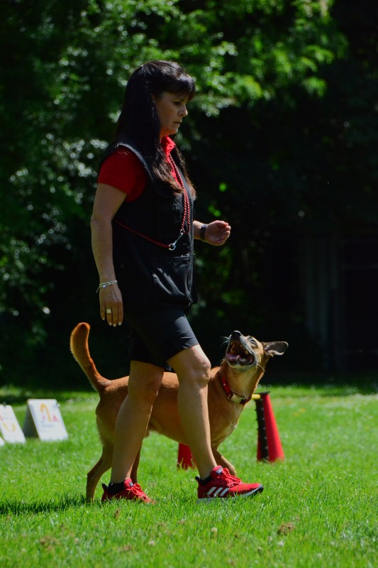 2022-05-22 Rally Obedience Turnier 106