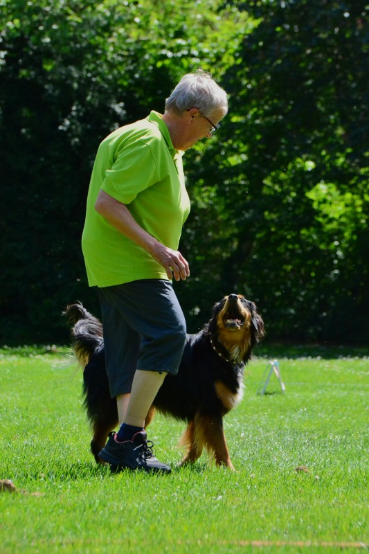 2022-05-22 Rally Obedience Turnier 110