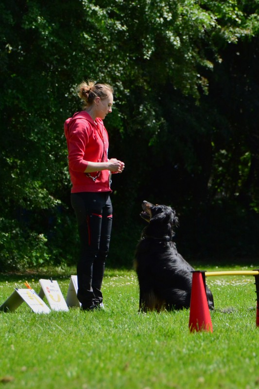 2022-05-22 Rally Obedience Turnier 113