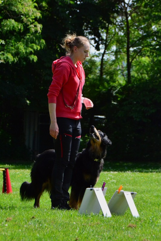 2022-05-22 Rally Obedience Turnier 115