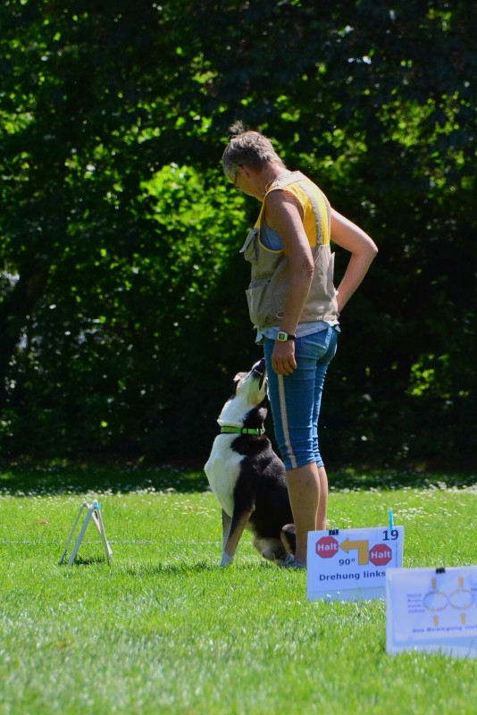 2022-05-22 Rally Obedience Turnier 121