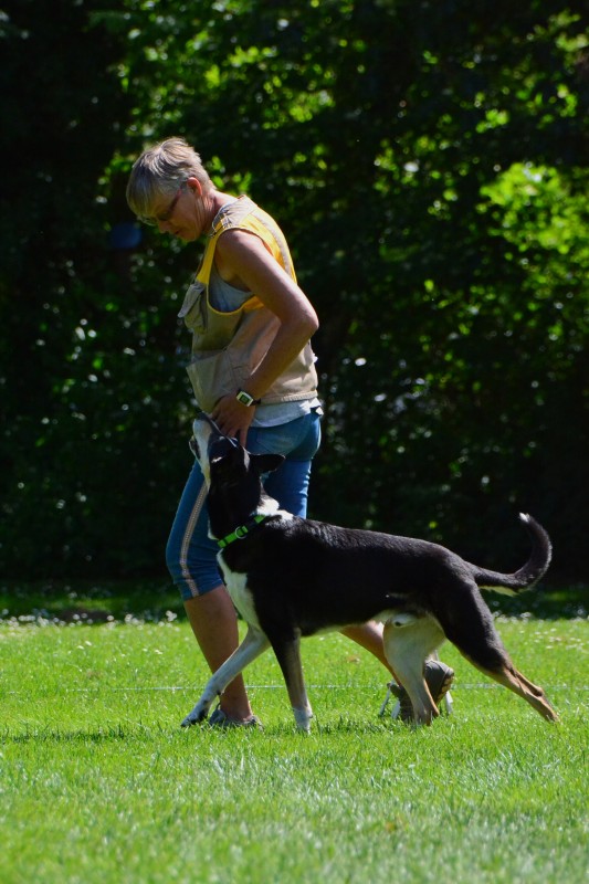 2022-05-22 Rally Obedience Turnier 122