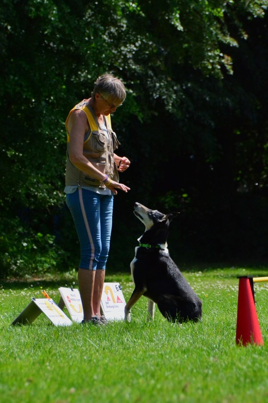 2022-05-22 Rally Obedience Turnier 123