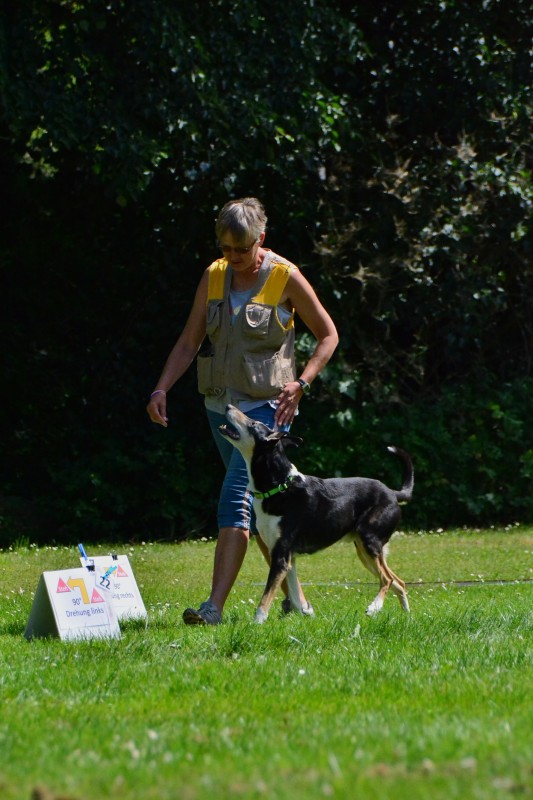 2022-05-22 Rally Obedience Turnier 124