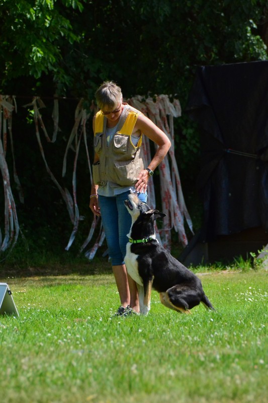 2022-05-22 Rally Obedience Turnier 125