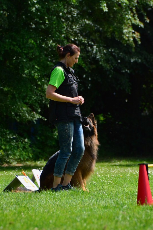 2022-05-22 Rally Obedience Turnier 134