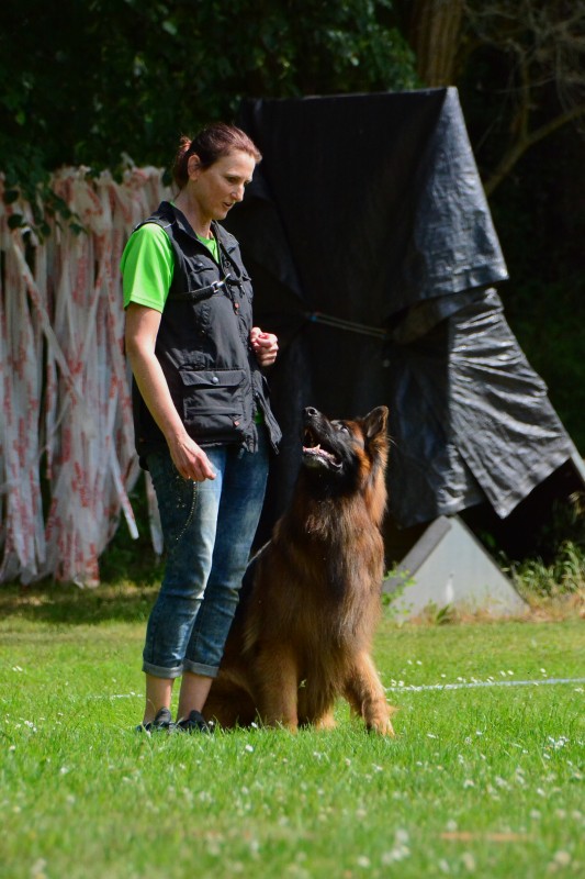 2022-05-22 Rally Obedience Turnier 135